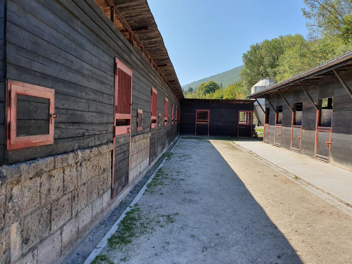 Villa Il Vecchio Olmo à Gagliano Aterno Extérieur photo